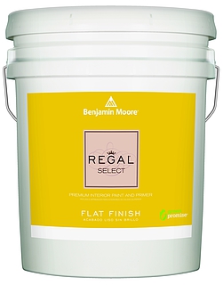 REG SELECT FLAT BASE 1 - 5 GAL