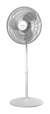 FANS